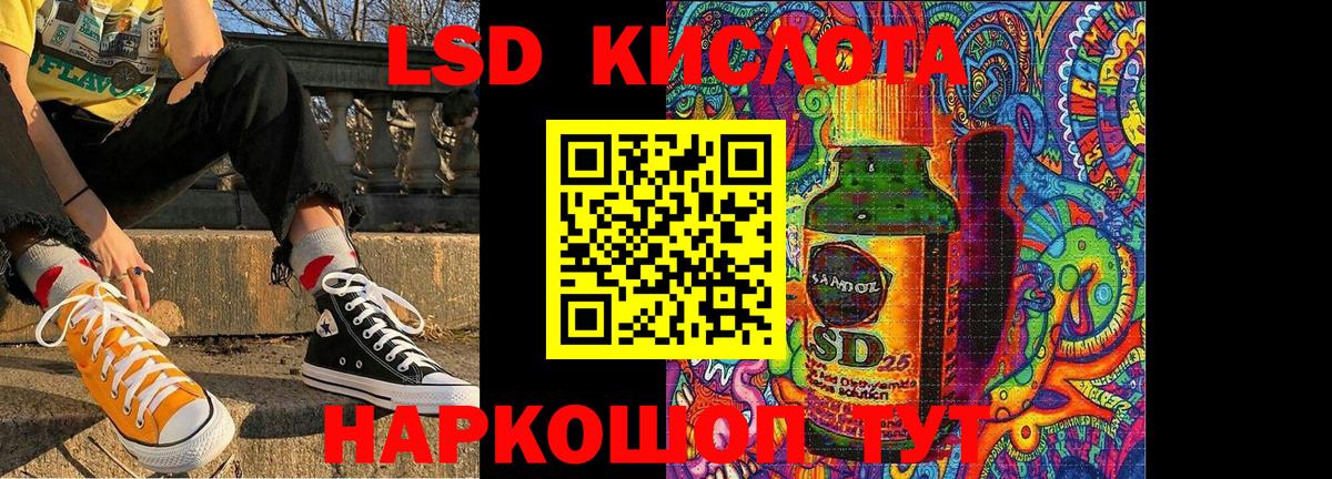 Галлюциногенные грибы Красноармейск