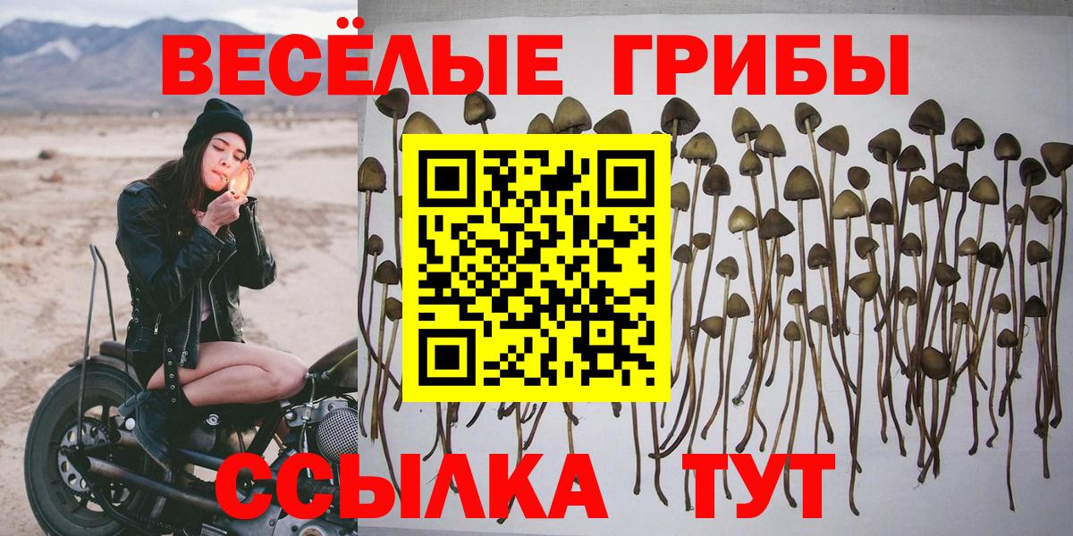 Псилоцибиновые грибы мухоморы  Вход с VPN  Красноармейск 