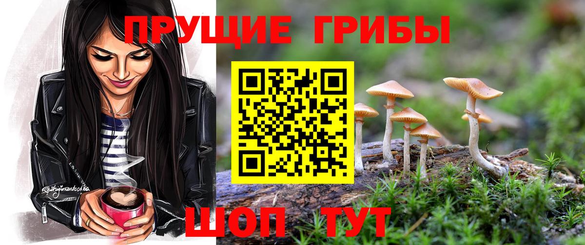 Псилоцибиновые грибы Psilocybine cubensis  Галлюциногенные грибы GOLDEN TEACHER  Красноармейск 