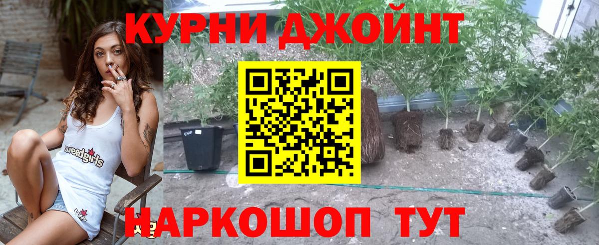 Конопля индика Красноармейск